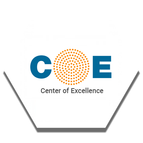 center of excellence